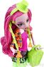 Кукла Monster High Марисоль Кокси Школьный обмен