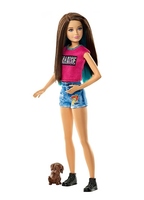 Кукла Барби Сестра Barbie с питомцем DMB27
